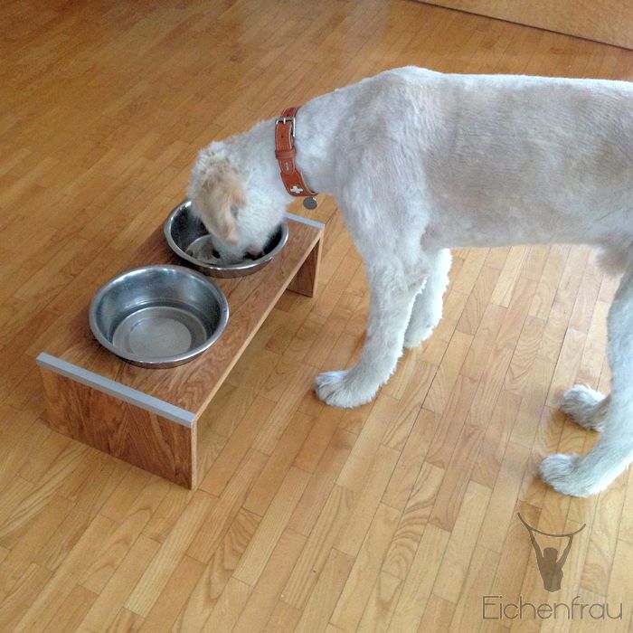 Hundebar 60x20x31 cm (BxHxT) form951 – Bild 3
